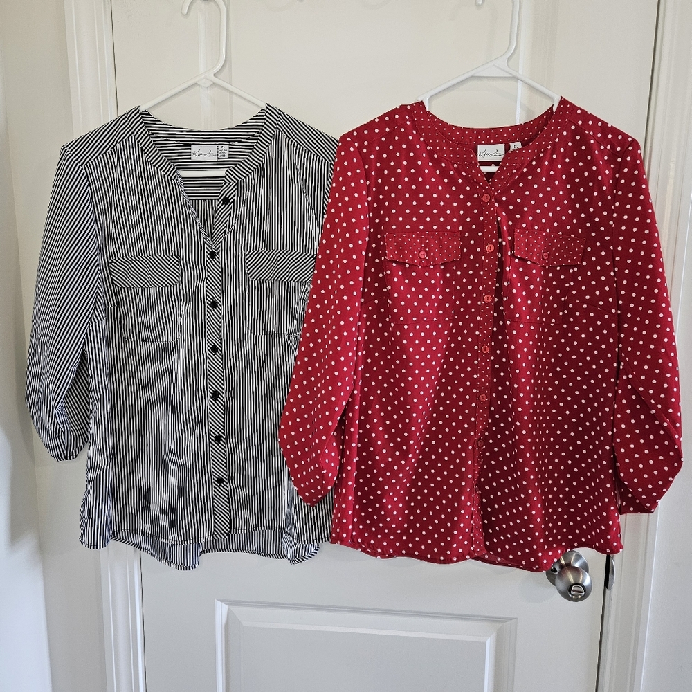 Kim Roger's petite large shirt bundle button down Lot